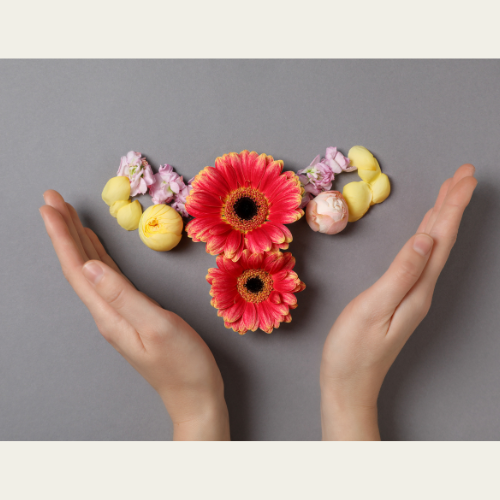 Why a Menopause Biotype DNA Test Changes Everything for Midlife Health